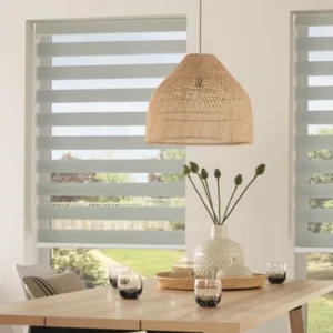Dining Room zebra shade