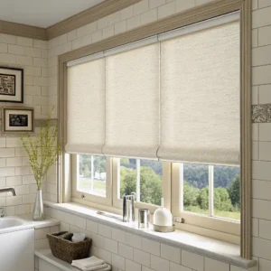 bathroom roller shades (1)