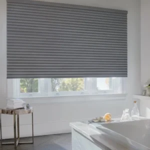bathroom shade