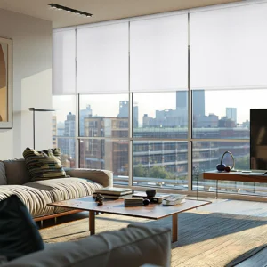 living room shades